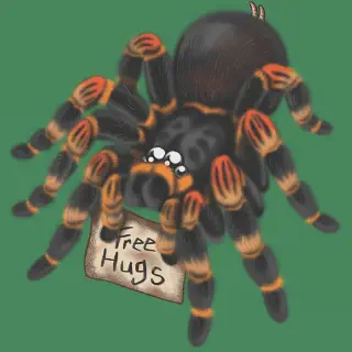 /img/21402-baby-tarantula-cute-image7.webp