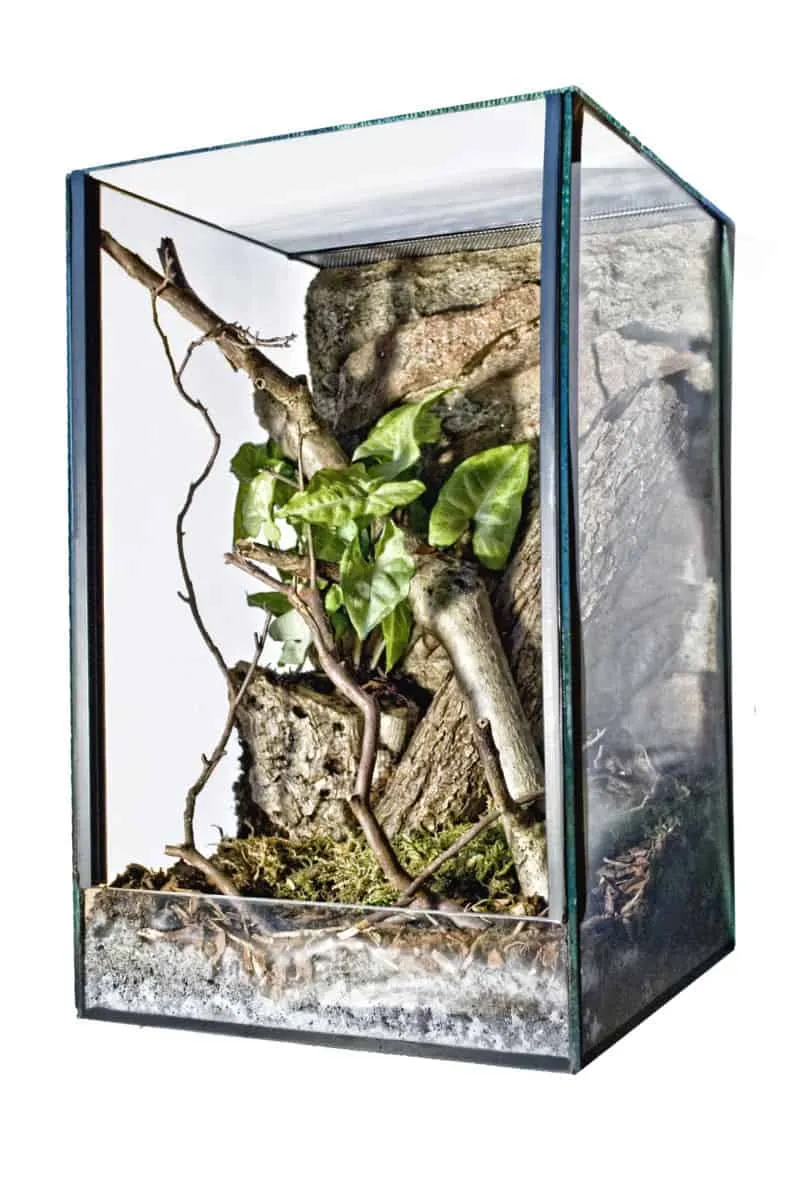 21403 acrylic enclosure