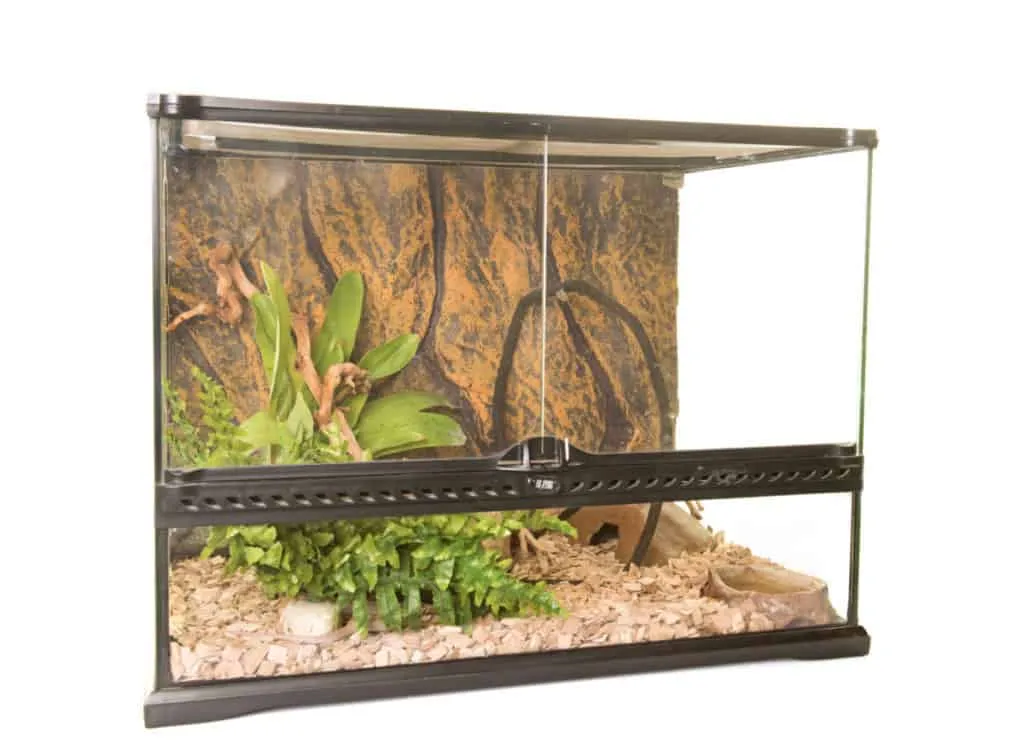 21403 glass tarantula enclosure