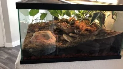 21403 tarantula porch setup overview
