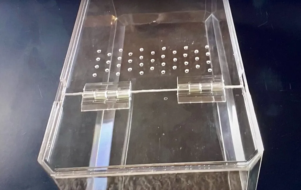 21409 soil mites tarantula enclosure 6