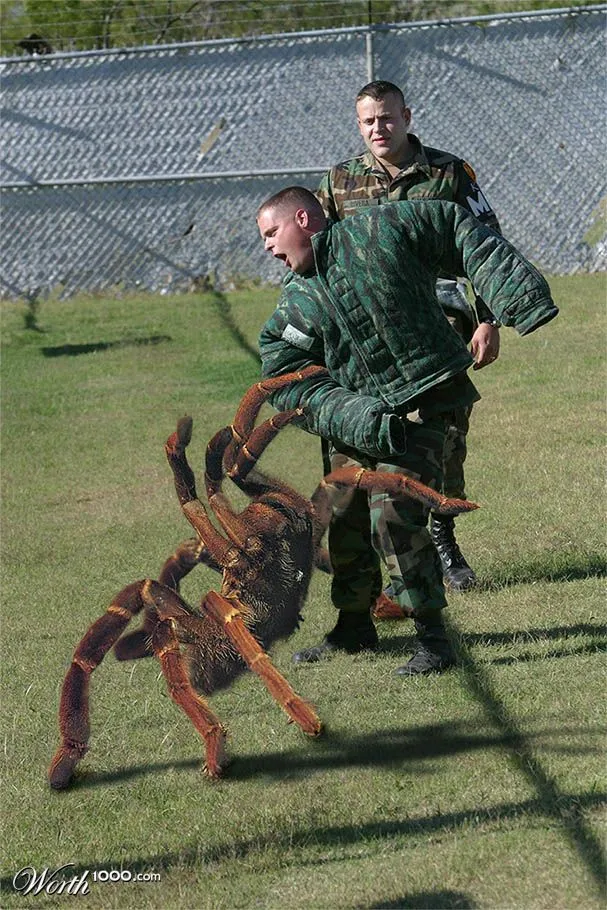 /img/21412-tarantula-venom-research.webp