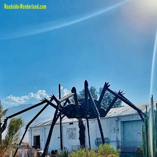 /img/21416-roda-tarantula-vw-cleaning.webp