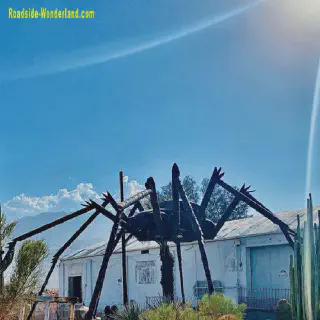 /img/21416-roda-tarantula-vw-cleaning.webp