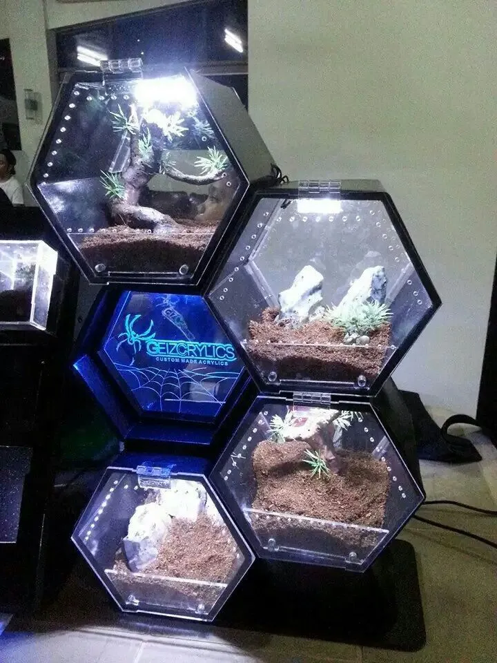 21419 tarantula enclosure setup