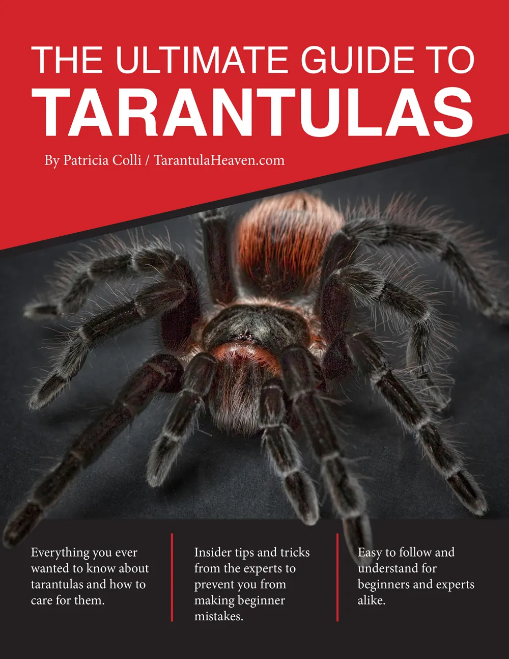 21452 tarantula helmet comfort