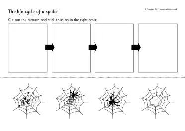 21457 tarantula molting