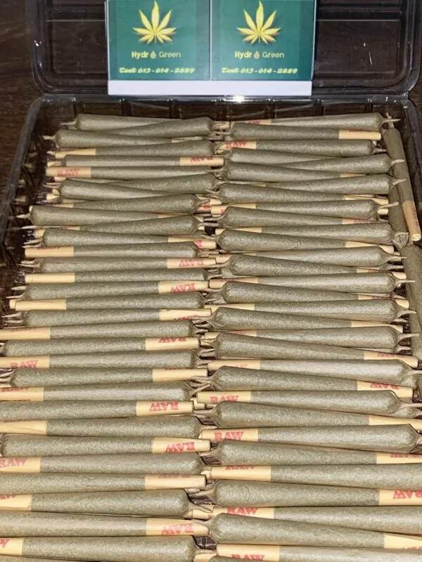 21461 pre roll comparison