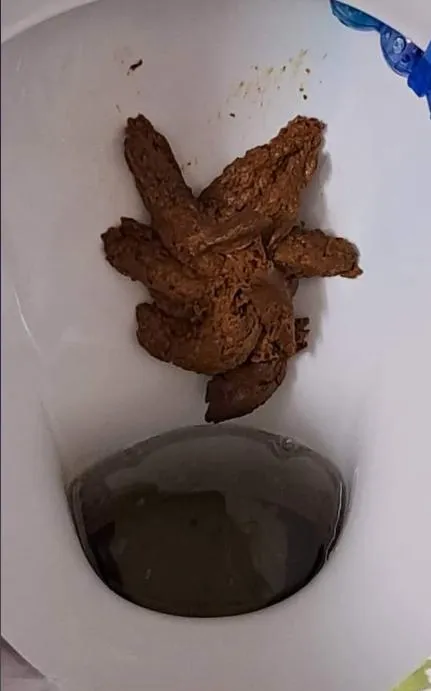 21470 tarantula excretion