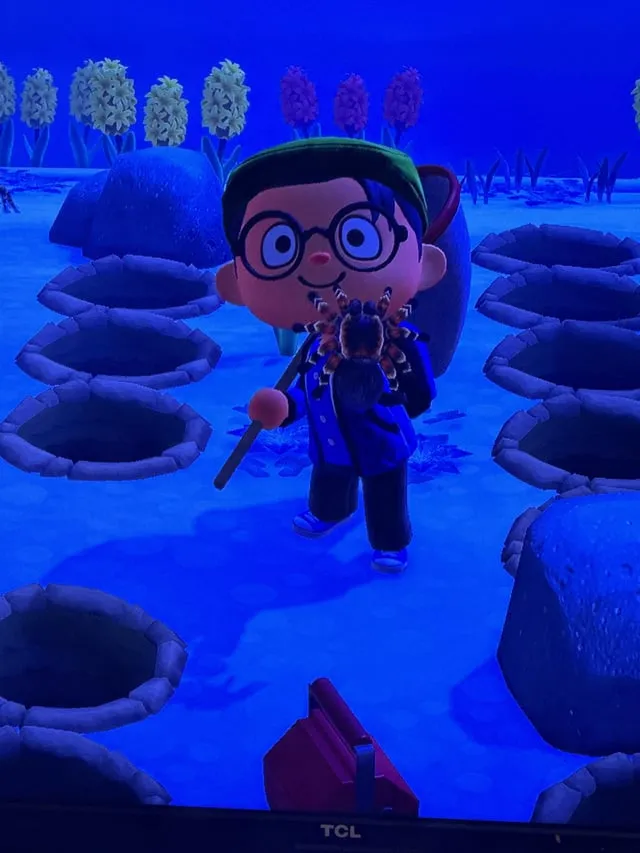 21472 best island tarantula farming