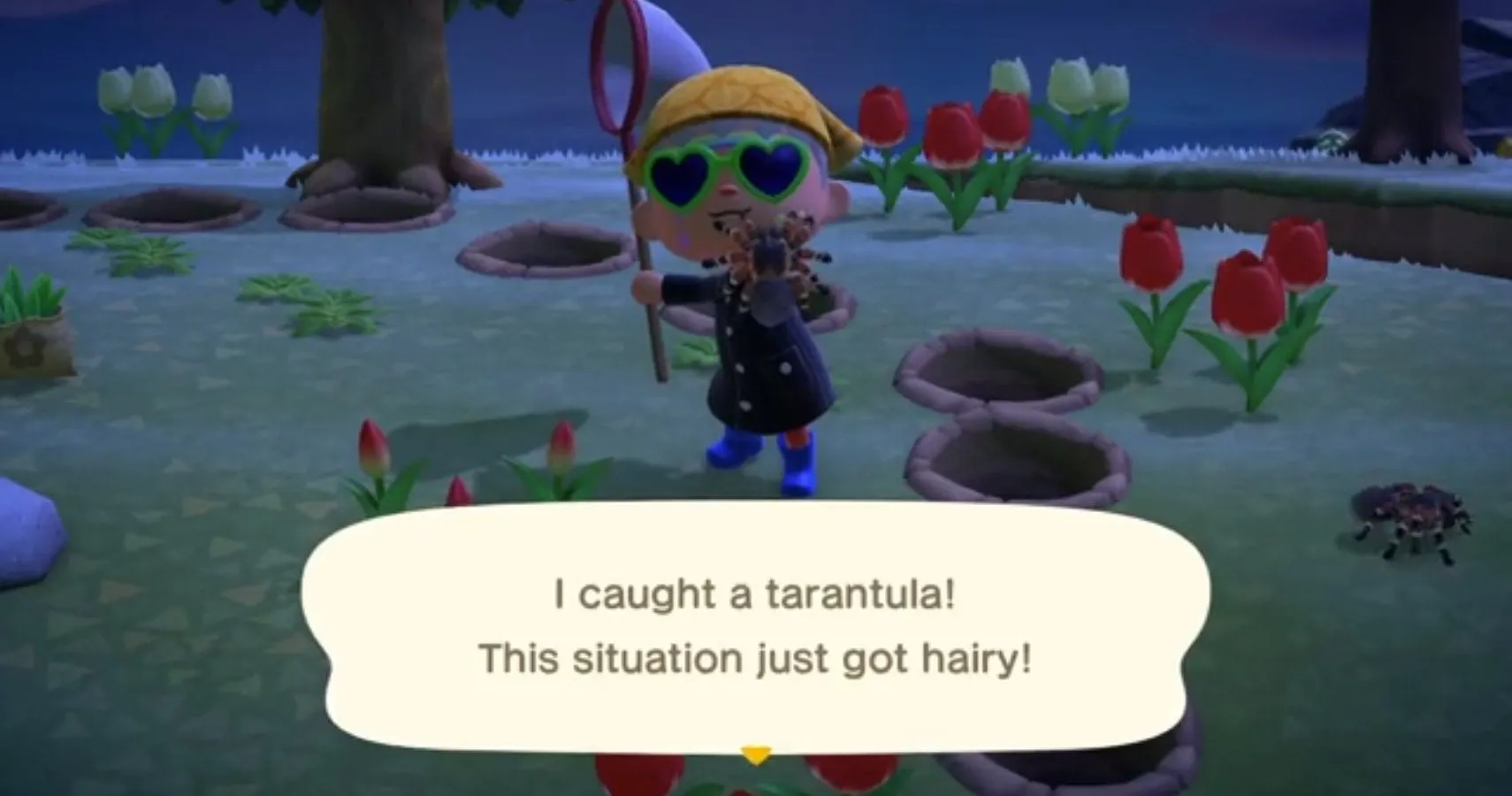 21480 animal crossing tarantula bite