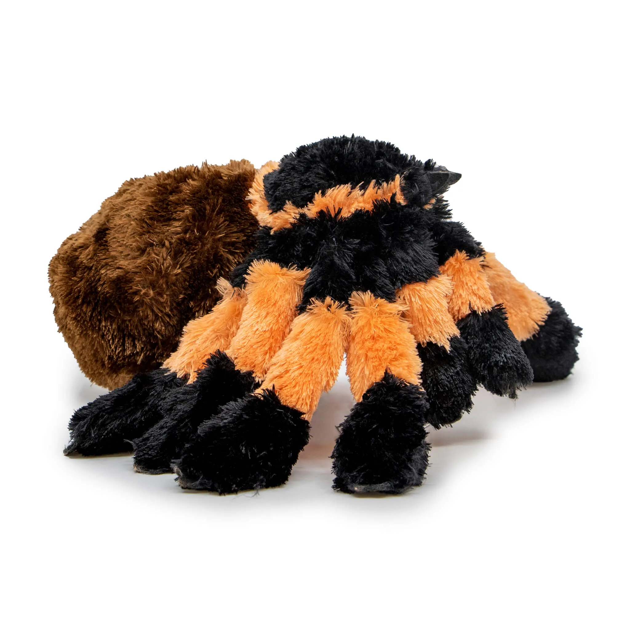 21481 tarantula enclosure sydney