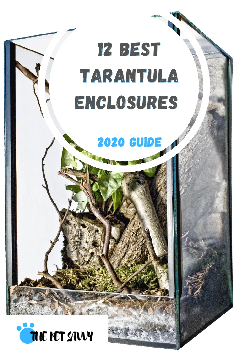 21482 tarantula enclosure decor