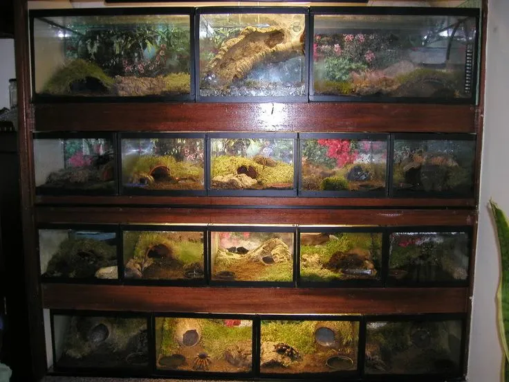 21482 tarantula enclosure substrate