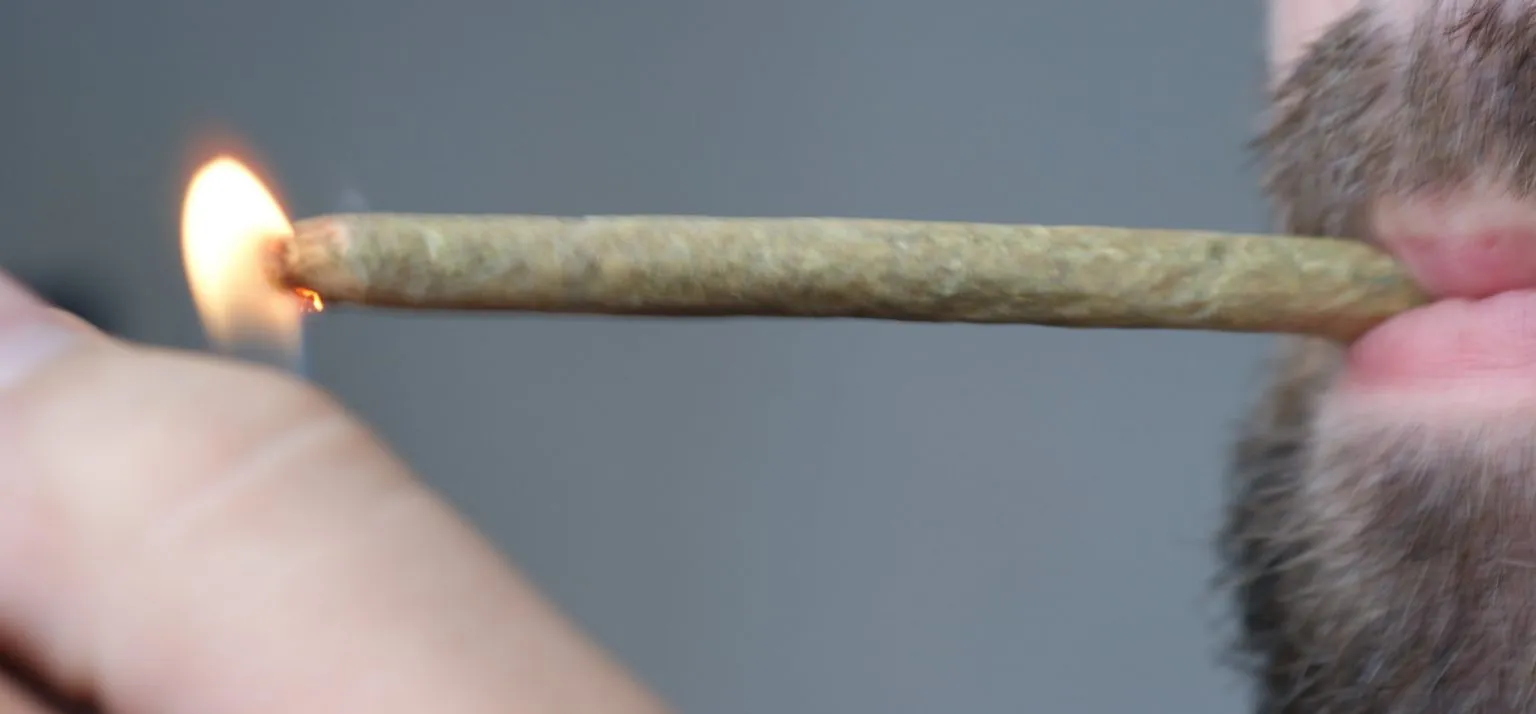 21484 cannabis flower