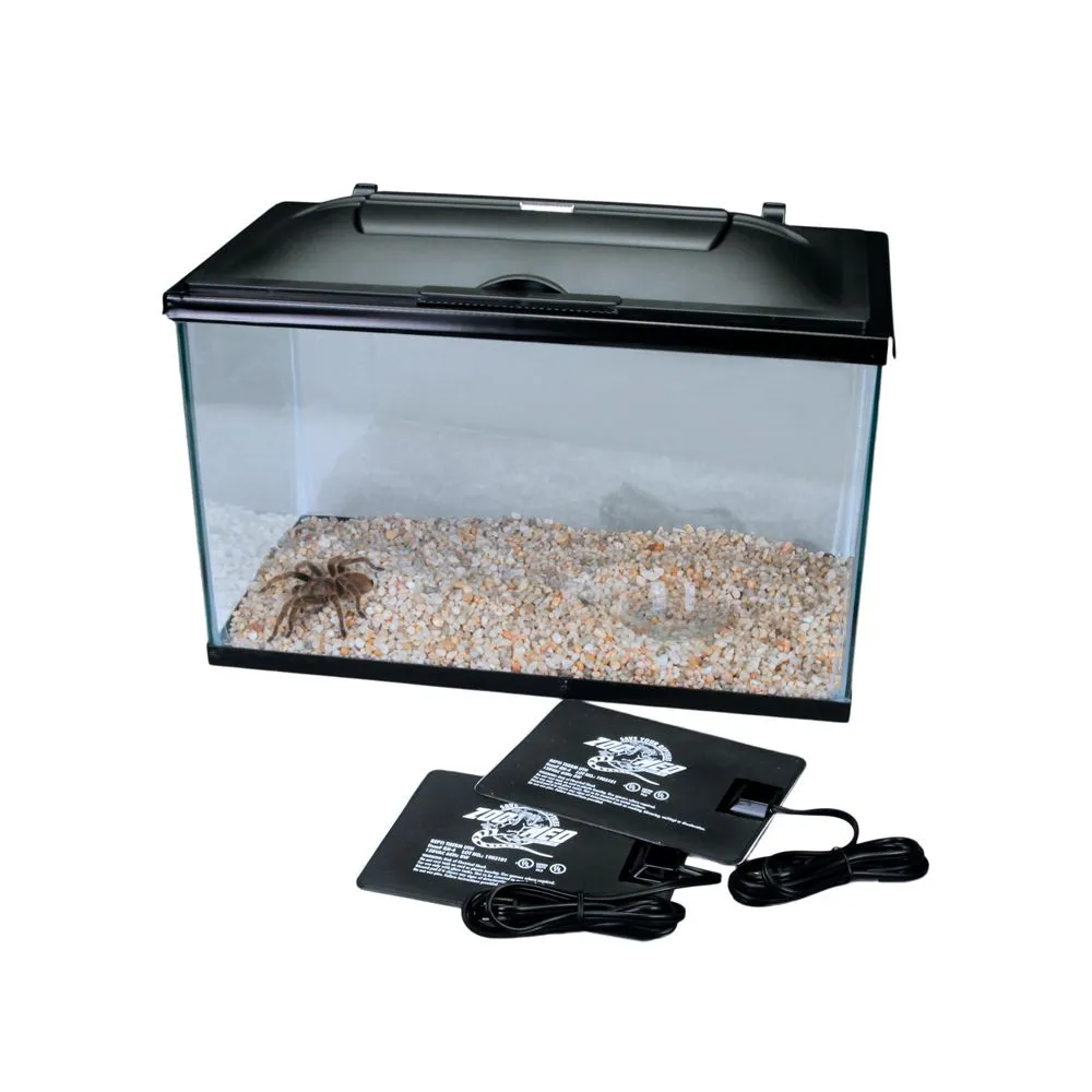 /img/21485-tarantula-happy.webp