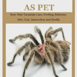 /img/21497-underfeeding-tarantula.webp