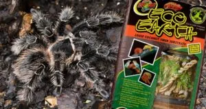21506 coconut fiber substrate