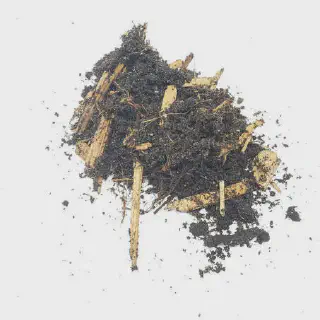 /img/21506-tarantula-cleaning-substrate.webp