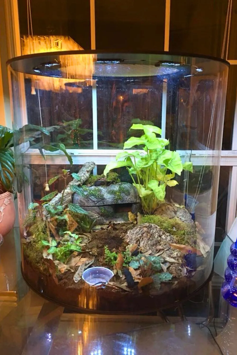 21522 tarantula enclosure decor