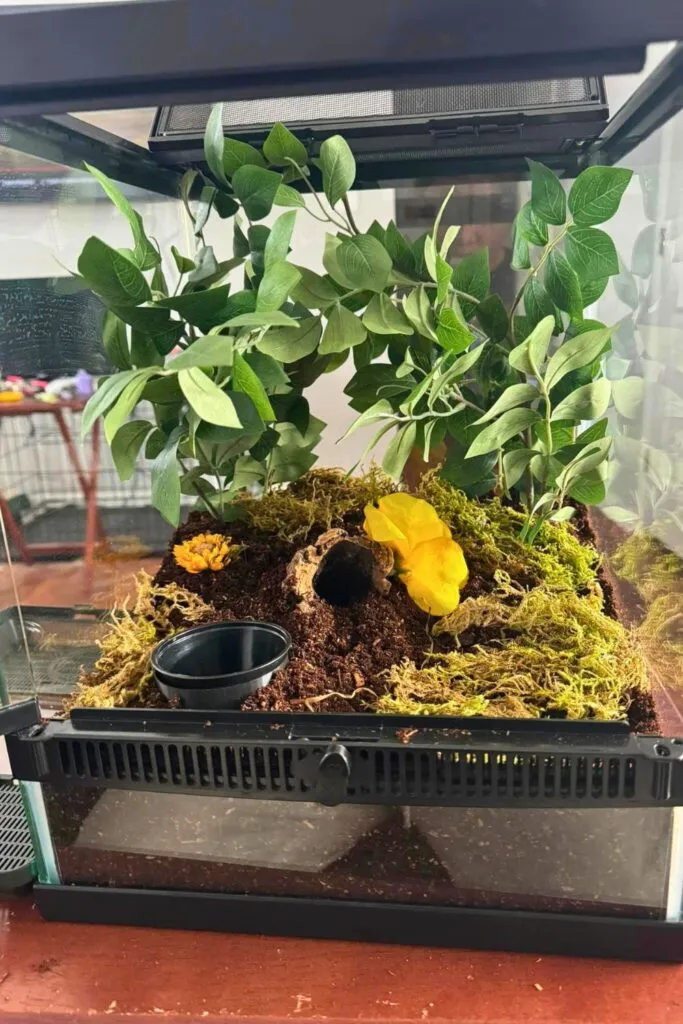 21522 tarantula enclosure substrate