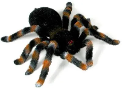 21540 rc tarantula educational
