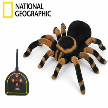 21540 rc tarantula models