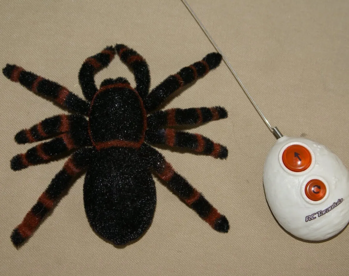 21540 rc tarantula playing