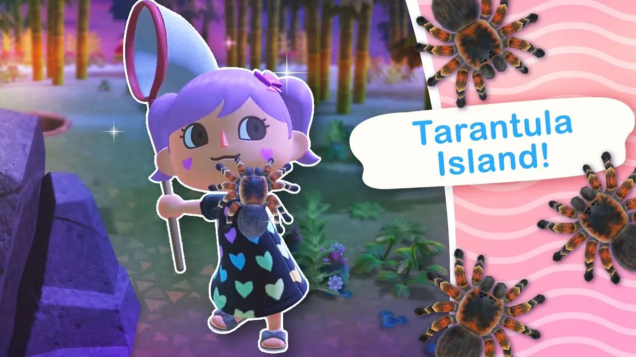 21573 tarantula catching tips