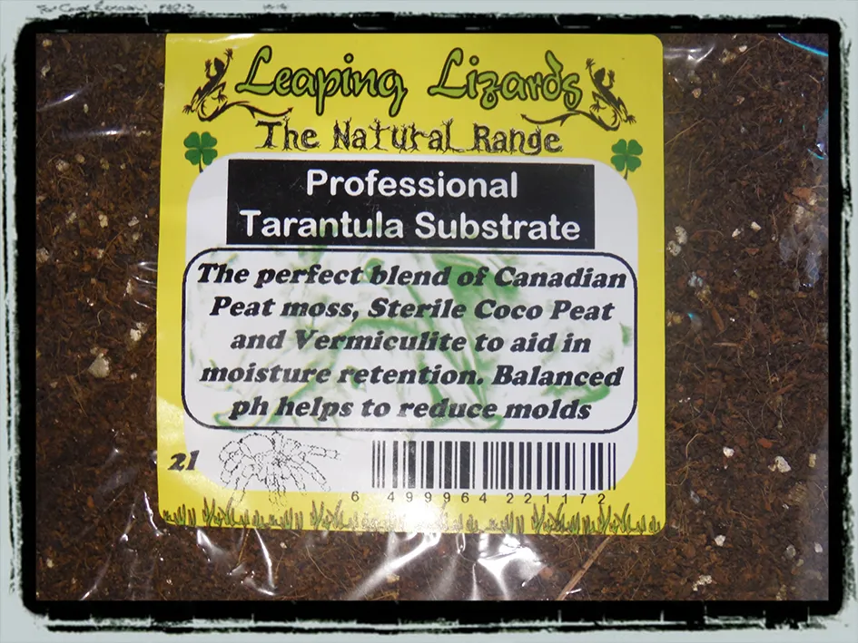 21575 cleaning tarantula enclosure
