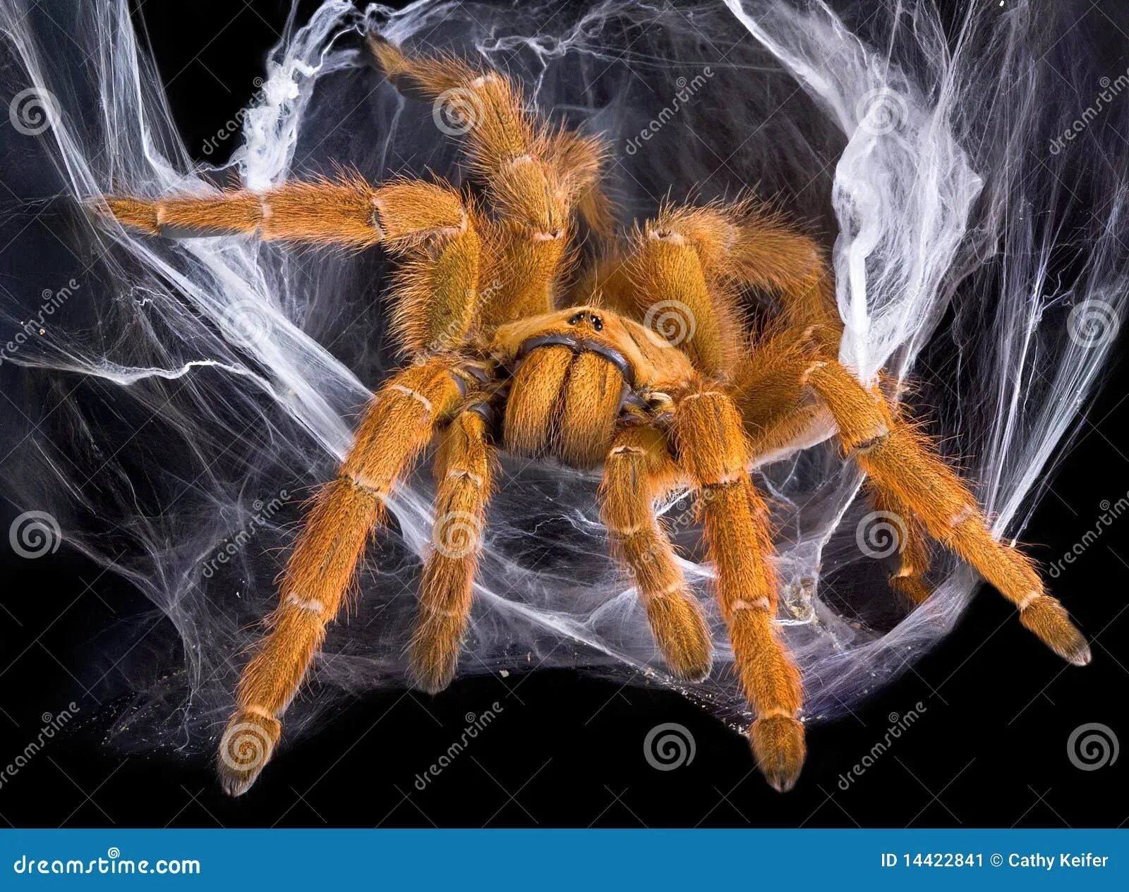 /img/21576-cost-effective-internet-7.webp