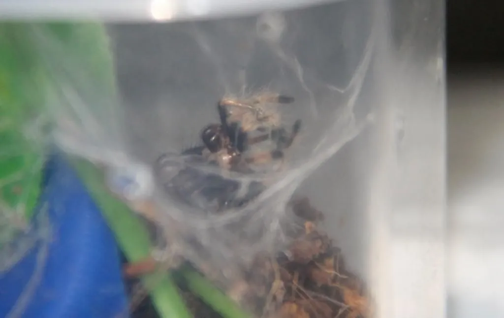 21579 gbb sling water