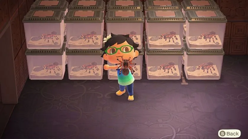 21583 animal crossing tarantula sell