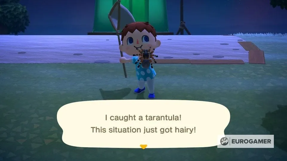 21588 animal crossing clearing island