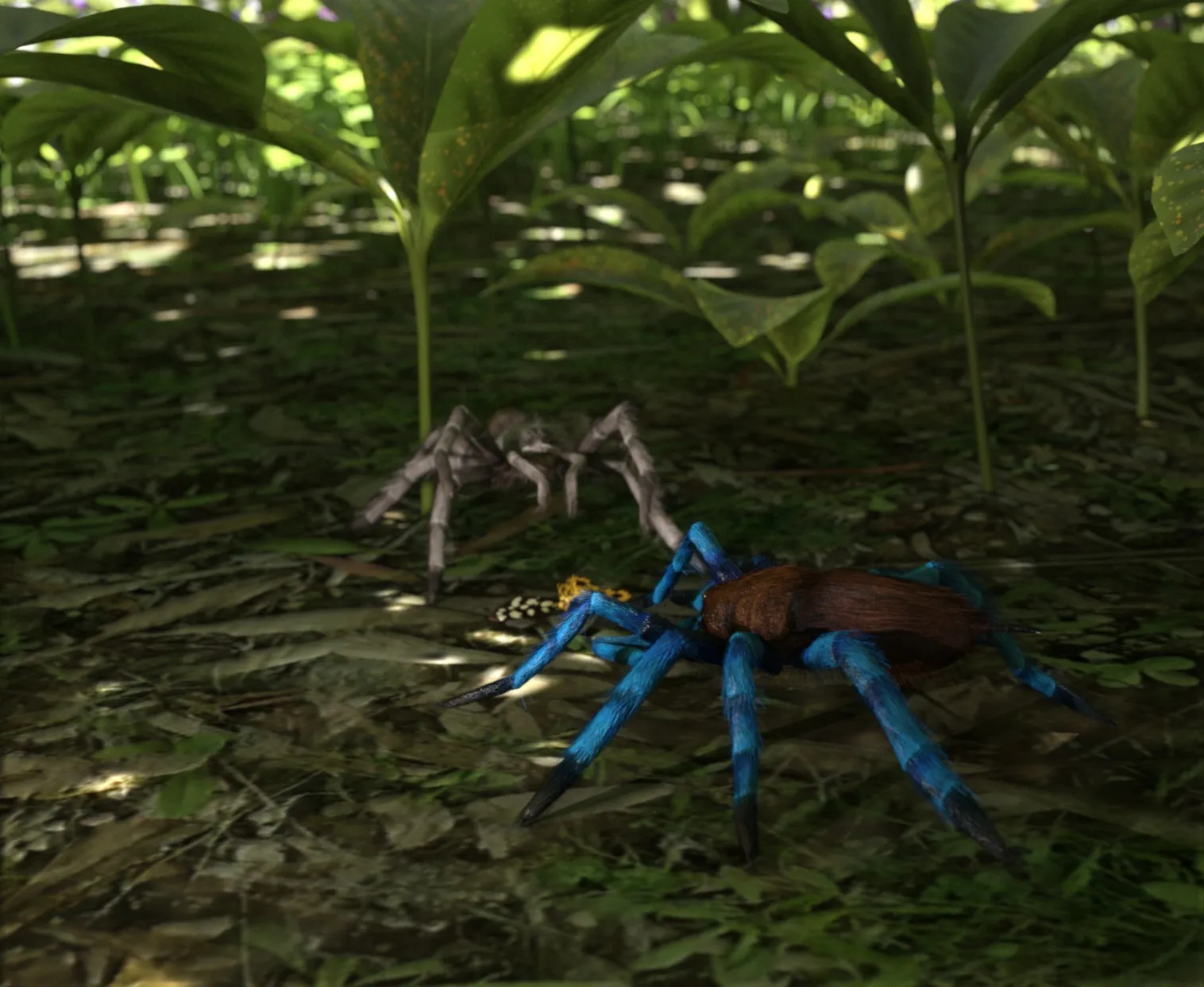 /img/21596-australian-blue-leg-tarantula-handling.webp