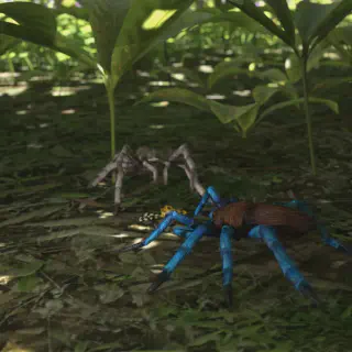 /img/21596-australian-blue-leg-tarantula-handling.webp