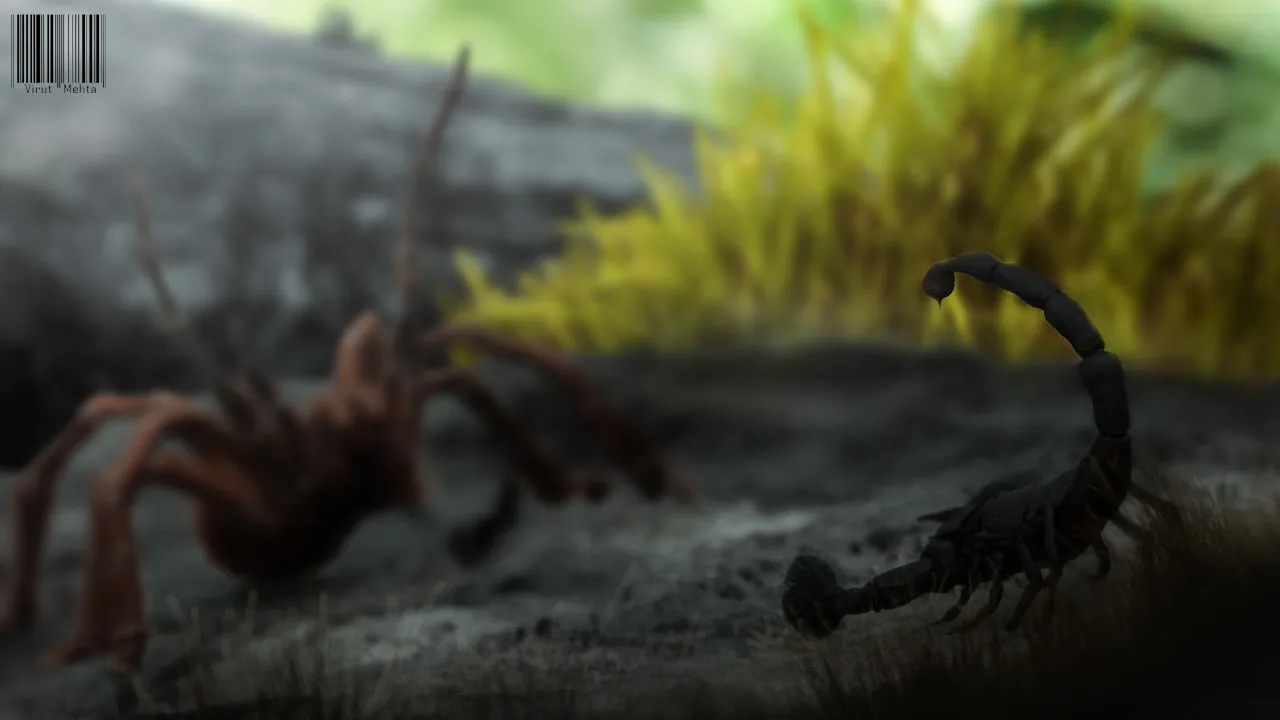 21608 tarantula eating