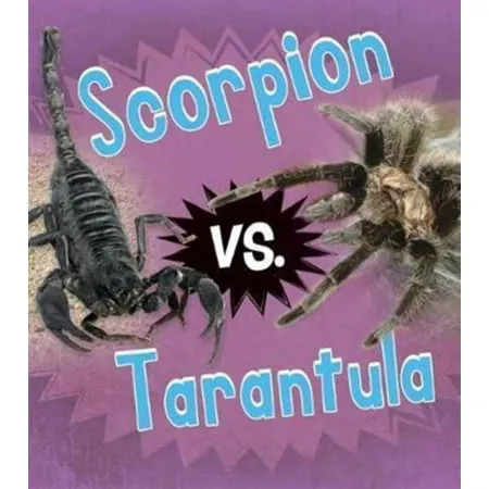 21608 tarantula molting