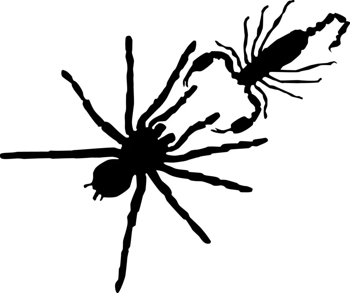 21608 tarantula vs scorpion