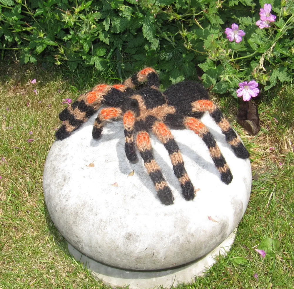 21624 tarantula feeding guide