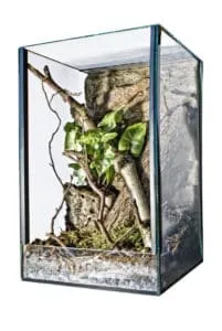 21626 arboreal tarantula enclosure