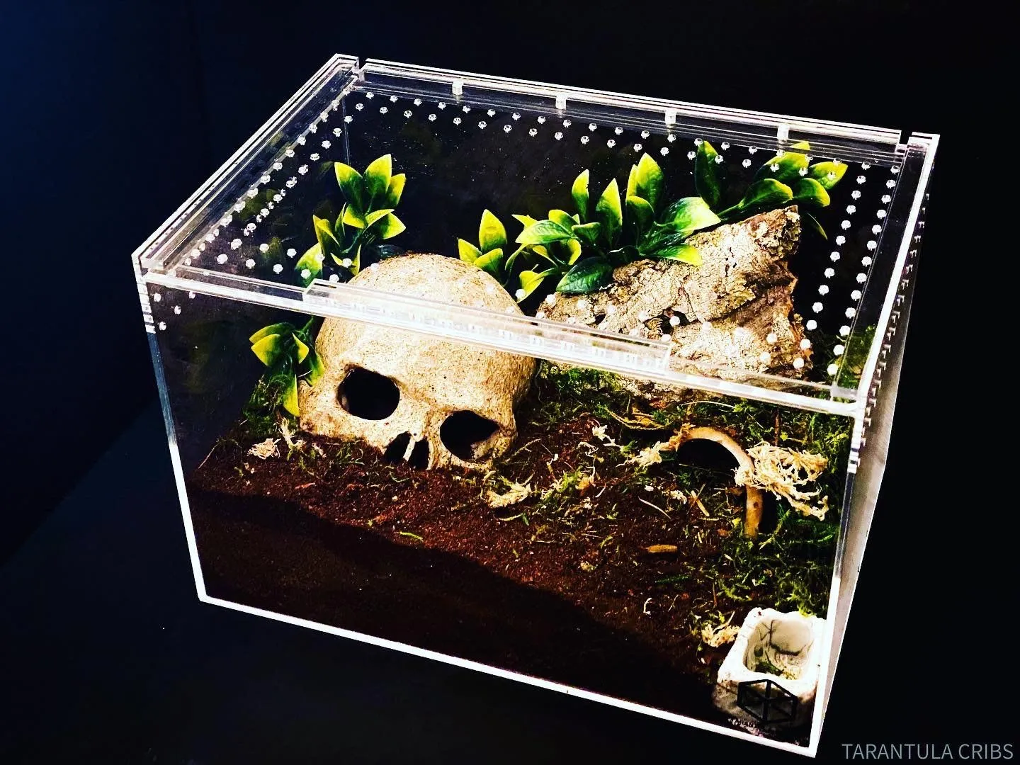 21626 tarantula substrate options
