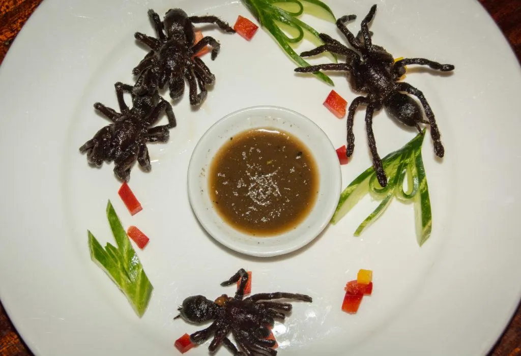 21647 roach tarantula food