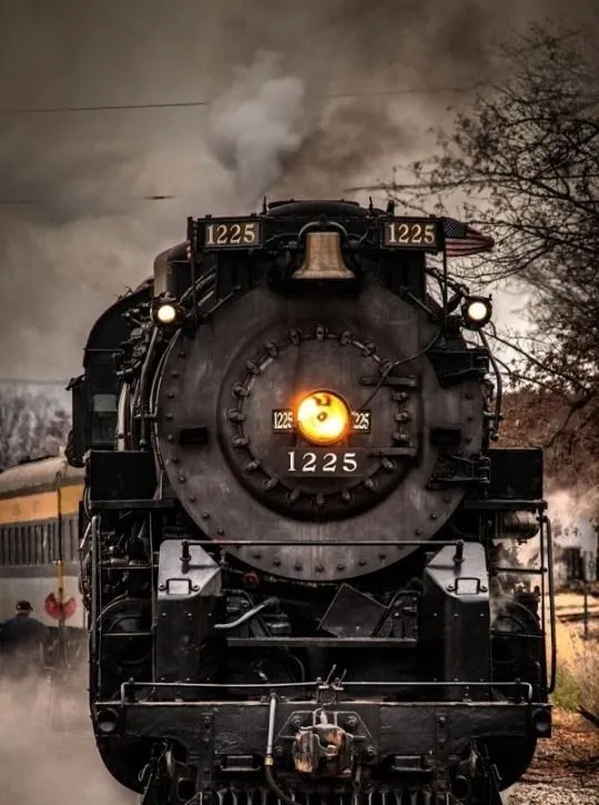 21662 tarantula train wildlife