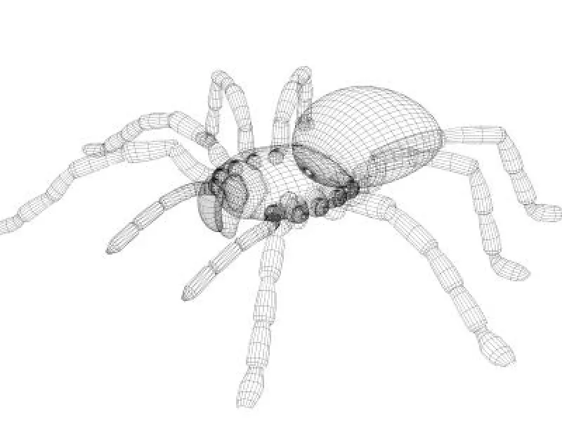 21671 baby tarantula model benefits