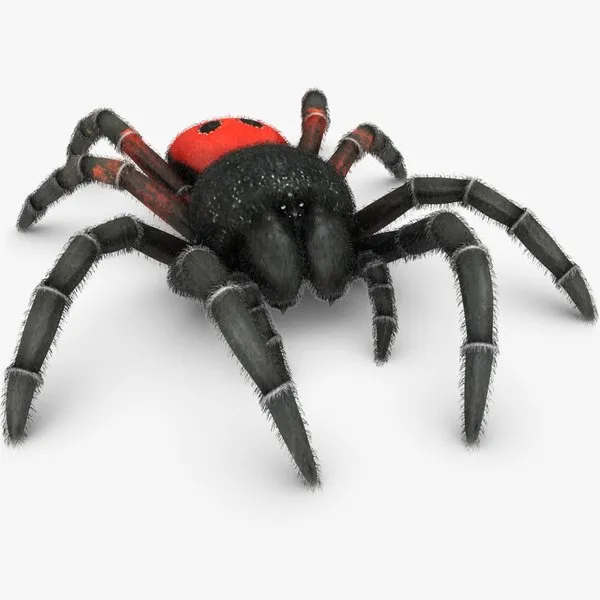21671 baby tarantula model software