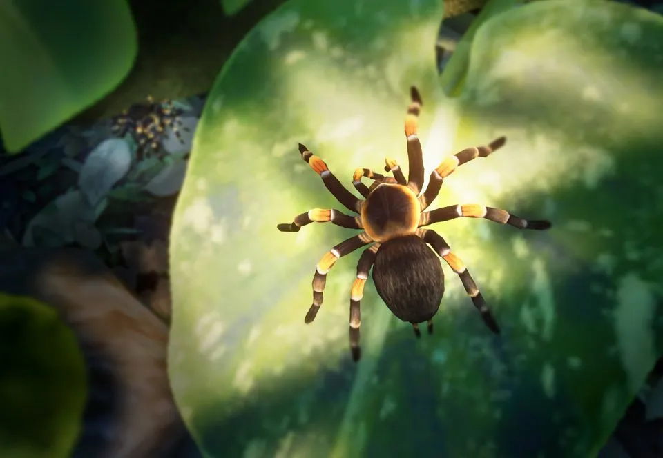 21678 mexican red knee tarantula planet zoo habitat