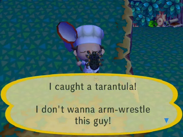 21697 animal crossing tarantula behavior