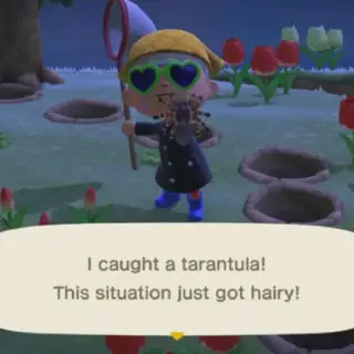 /img/21697-animal-crossing-tarantula-location.webp