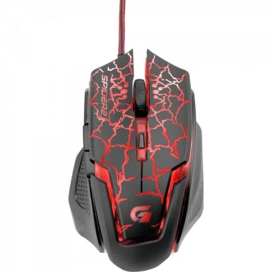 21699 mouse connectivity